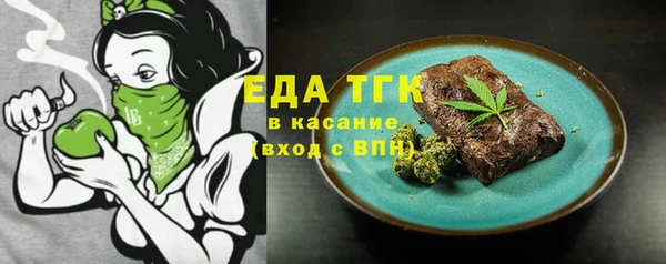индика Арсеньев