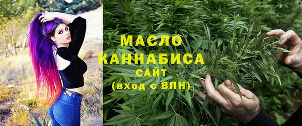 индика Арсеньев