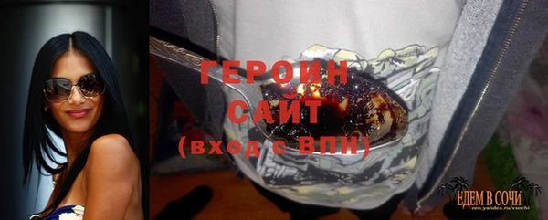 индика Арсеньев