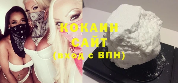 индика Арсеньев