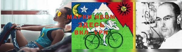индика Арсеньев