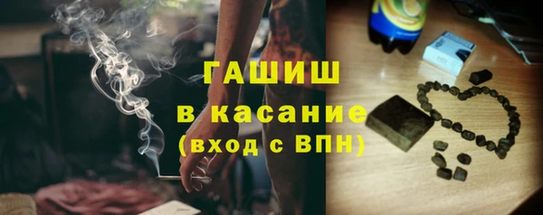 индика Арсеньев