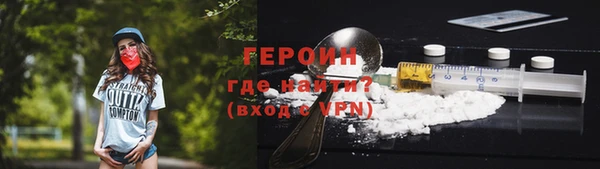 индика Арсеньев