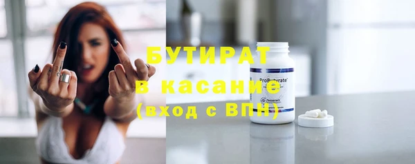 индика Арсеньев