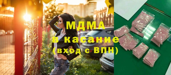 индика Арсеньев