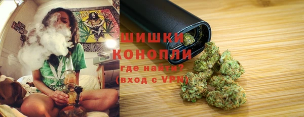 индика Арсеньев