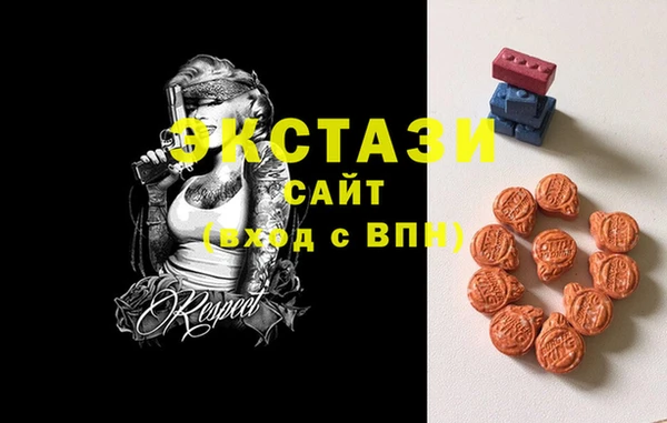 индика Арсеньев